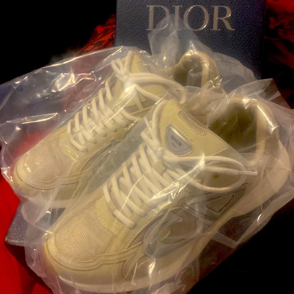 Dior b30 size 40 cream and gray